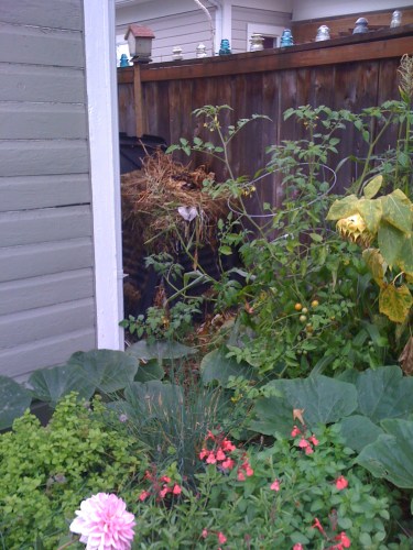 Overflowing Compost Bin