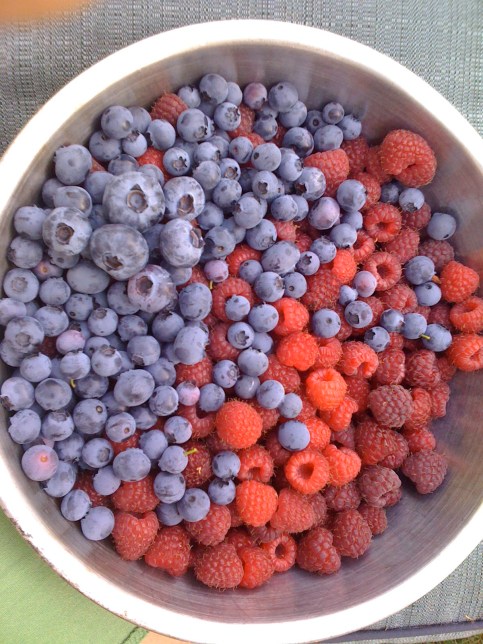 8. Blueberries & Raspberries