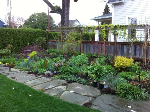 Front Garden - April