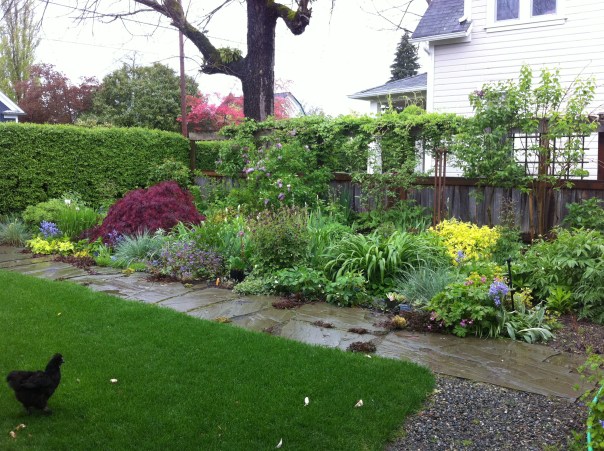 Water Logged Front Perennial Bed